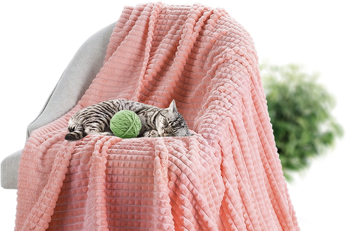 М'які меблі для затишку у вітальні